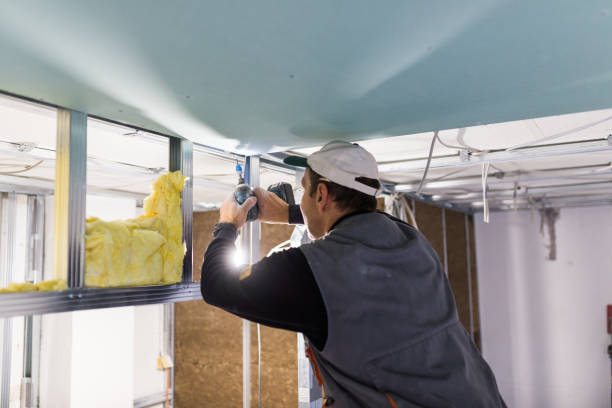 Best Cellulose Insulation in Irwindale, CA