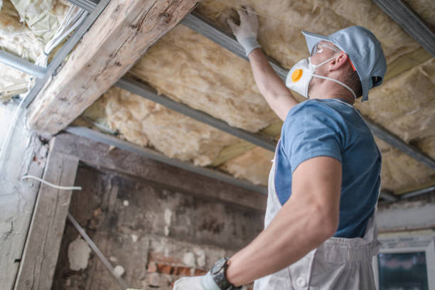 Best Insulation Maintenance and Repair in Irwindale, CA